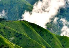 Chail Kasauli Tour
