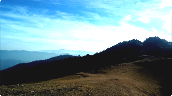 Jau Baag Hatu