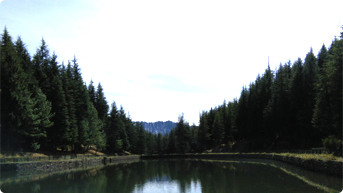 Tanijubbar Lake